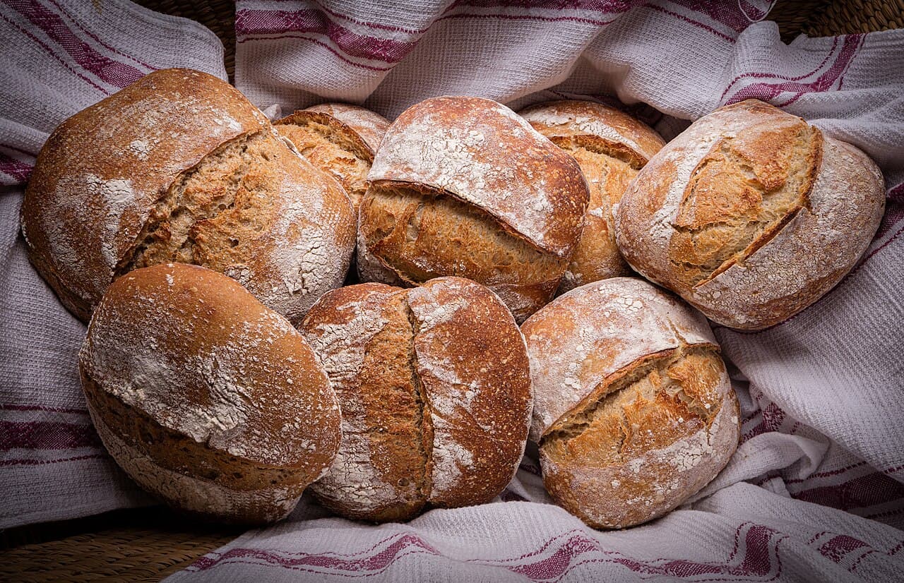 Flour-dusted sourdough loaves on a striped cloth